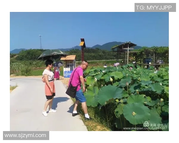 吕俊虎的传奇人生与奋斗历程探秘,启示我们追求梦想的勇气与坚持