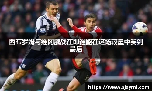 bellbet贝博APP